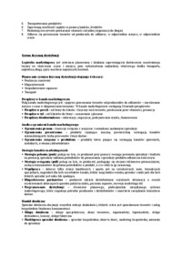 dystrybucja-opracowanie