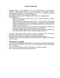 srodowisko-afrykanskie-chrzescijanstwo-w-kartaginie