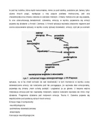 teoria-roberta-leepera