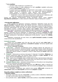 rzym rodzina - Prawo 