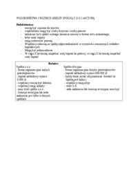 Spółka z o.o. i akcyjna - porównanie