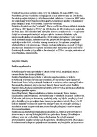 Historia góry gradowej