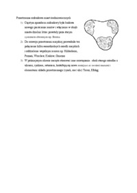 Przestrzenna rozbudowa miast średniowiecznych