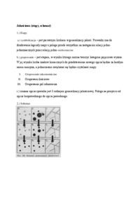 Jakościowa - etapy, schemat.