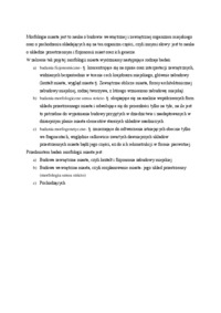 morfologia-miasta