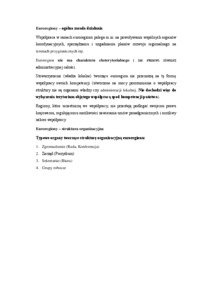 Euroregiony - ogólna zasada działania i struktura organizacyjna