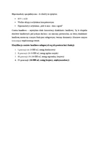 hipermarkety-specjalistyczne