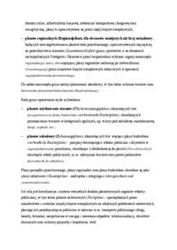 Niemiecki system planowania przestrzennego