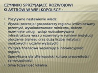 Klastry w województwie wielkopolskim