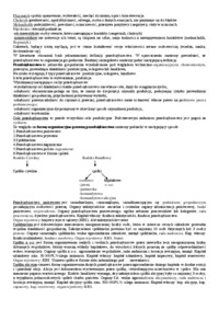 przedsiebiorczosc-i-konkurencyjnosc