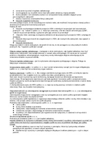 spolka-z-o-o-charakterystyka