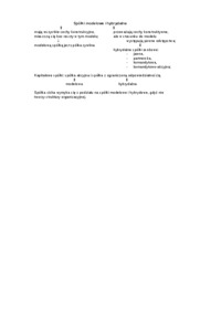 spolki-modelowe-i-hybrydalne