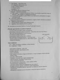 Metody zapewnienia szczelności ładowni, mycie ładowni-opracowanie