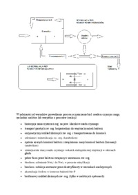 Techniczne elementy systemów osadu czynnego