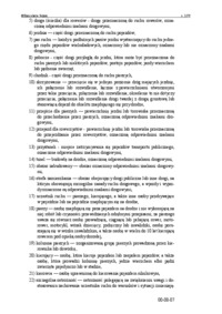 prawoznastwo-kodeks-drogowy