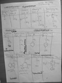 Białka i aminokwasy