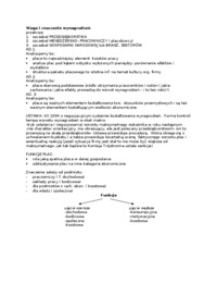 waga-i-znaczenie-wynagrodzen-opracowanie