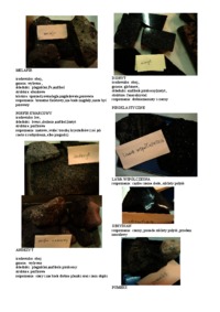 Wykład z geologii - Skały magmowe