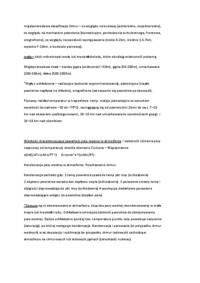 meteorologia-i-kliamtologia-atmosfera