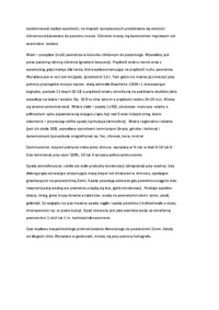 Pogoda i jej typowe elementy