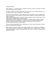 bilans-platniczy-wyklad