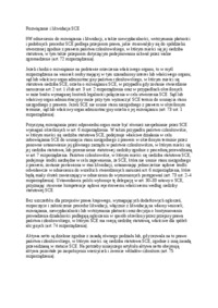 Rozwiązanie SCE - wykład