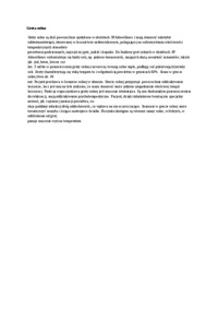 grota-solna-opracowanie