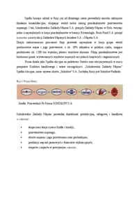 Charakterystyka firmy miesnej