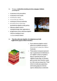 Schemat organizacyjny firmy wydobywczej gaz.