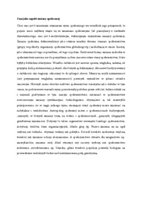 czas-jako-aspekt-zmiany-spolecznej-wyklad