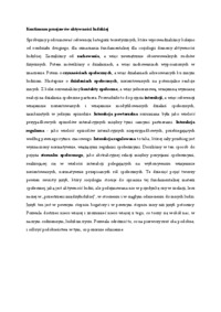 kontinuum-przejawow-aktywnosci-ludzkiej