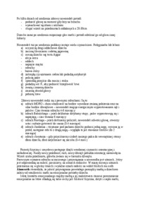 OKRES NIEMOWLĘCY- pedagogika