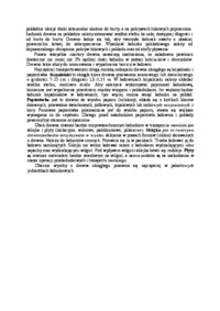 Składowanie drewna, przewóz drogą morską - wykład