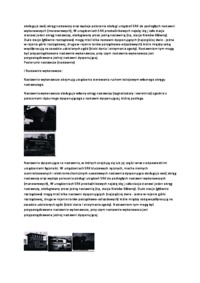 Posterunki i nastawnie - wykład