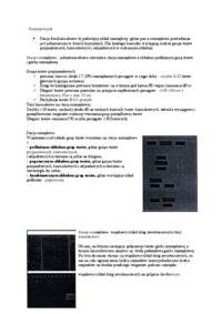 Stacje rozrządowe - wykład