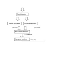 Model konfliktu  L - omówienie.