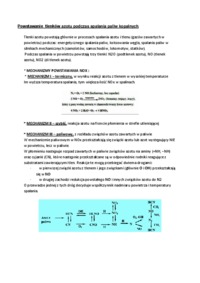 Powstawanie  tlenków azotu - wykład