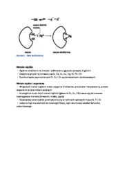 Źródła metali - wykład