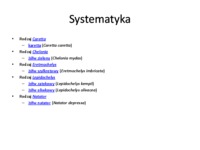 zolwie-morskie-wyklad