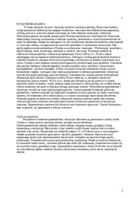 system-ksztalcenia-szkolnego-w-starozytnym-rzymie-pedagogika