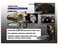Ssaki drapieżne i roślinożerne - omówienie 