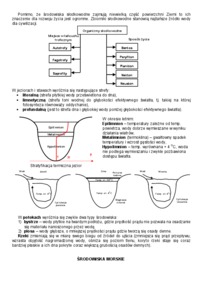 Inzynieria materialowa  - Ekologia Środowisk Wodnych - omówienie