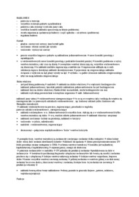 Najmniejsza jednostka funkcjonalna organizmu - omówienie