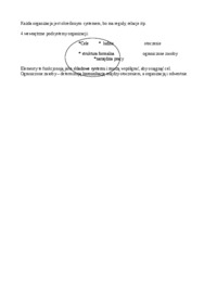organizacja-opracowanie