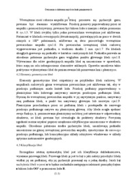 Wyznaczanie przewagi libeli- sprawozdanie