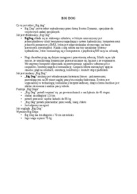 big-dog-opracowanie