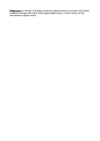 Poligonizacja-definicja