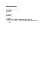 Instrukcje warunkowe-opracowanie