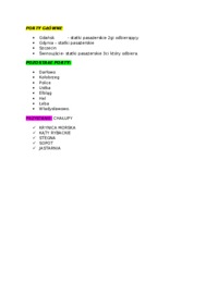 Główne poty  - omówienie 