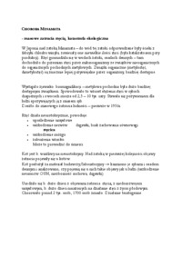 choroba-minamata-wyklad